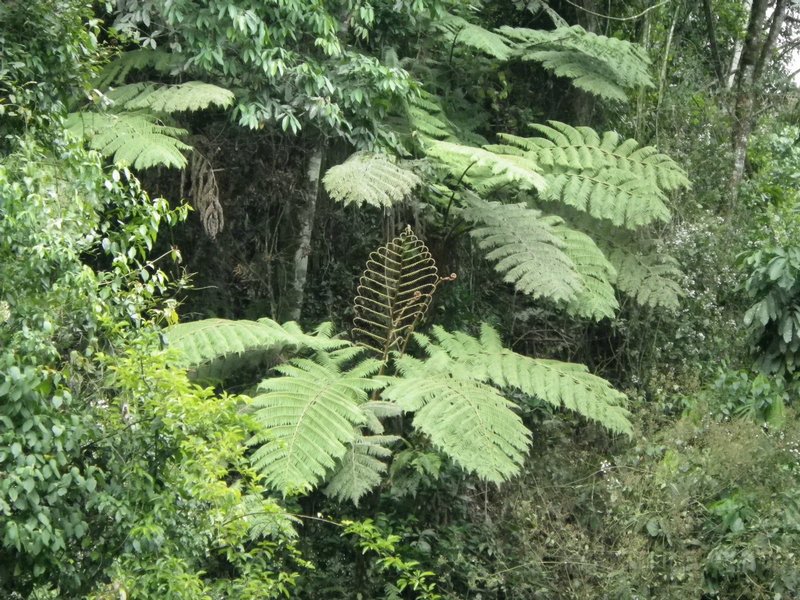 480 478 IMGP2092.jpg
